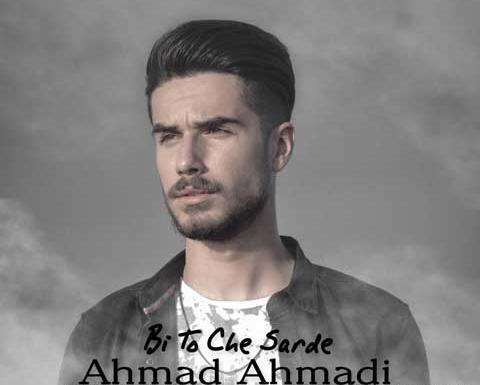 عکس احمد احمدی خواننده