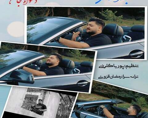 عکس احمد احمدی خواننده