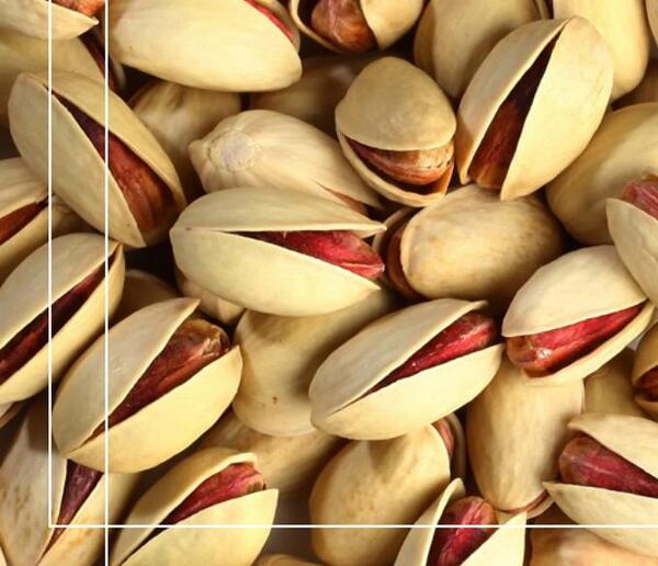 عکس احمد آقایی