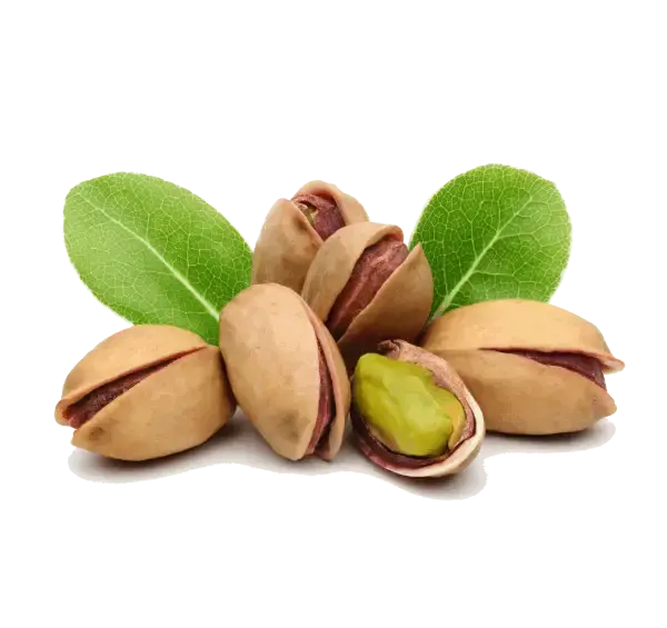 عکس درخت پسته احمد آقایی