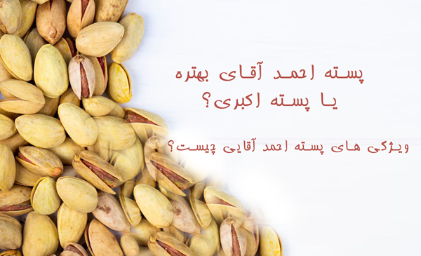 عکس درخت پسته احمد آقایی