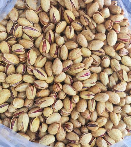 عکس پسته احمد آقایی