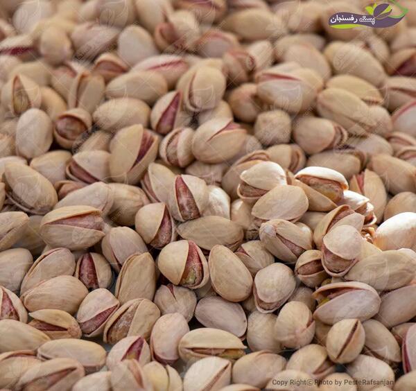 عکس پسته احمد آقایی