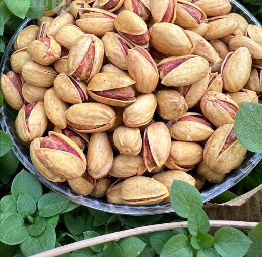عکس پسته احمد آقایی