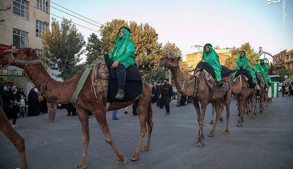 عکس از اسرای کربلا