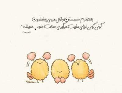 عکس امیر حافظ زند