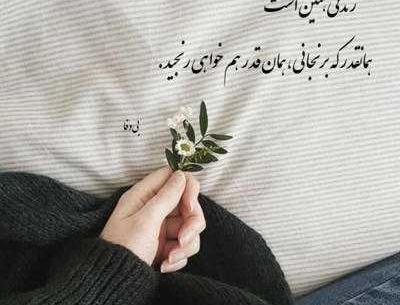 عکس امیرحافظ زند بوکسور
