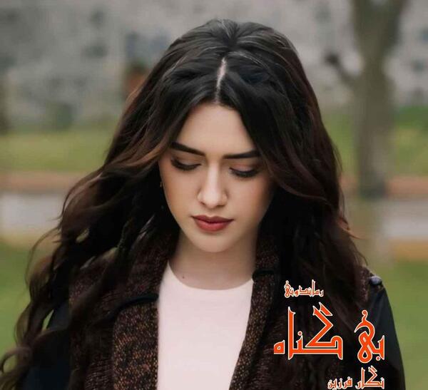 عکس امیرحافظ زند بوکسور