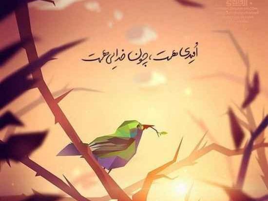 عکس امیدوار کننده
