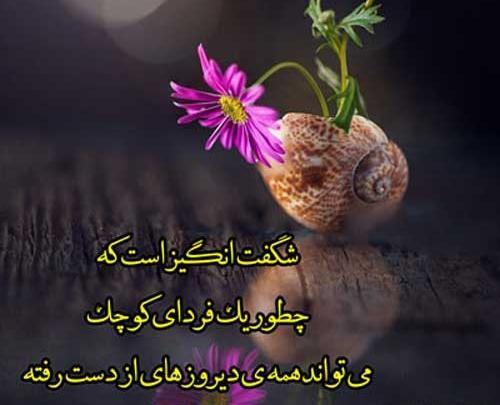عکس امیدوار کننده