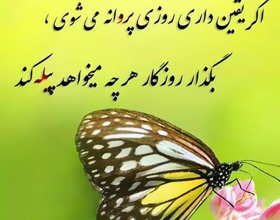 عکس پروفایل امیدوارکننده