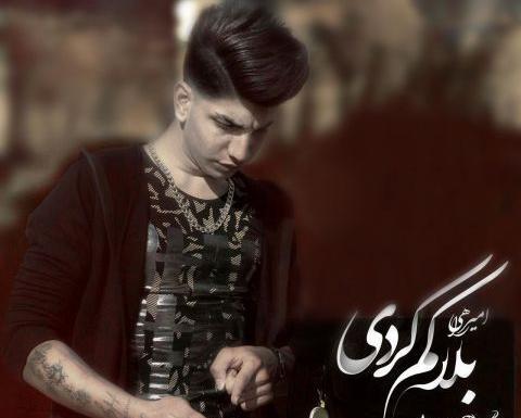 عکس خواننده امیر راهی