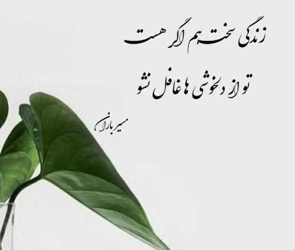 دانلود آهنگ عکس گل امیدم