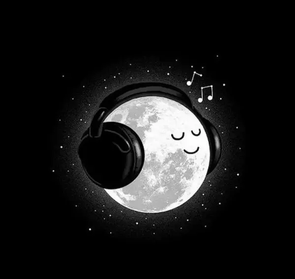شماعی زاده عکس گل امید