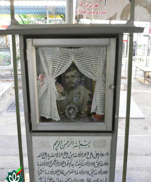 عکس امیر صالحی