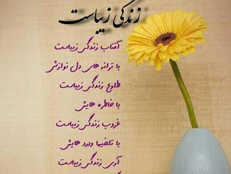 عکس امید به زندگی جدید