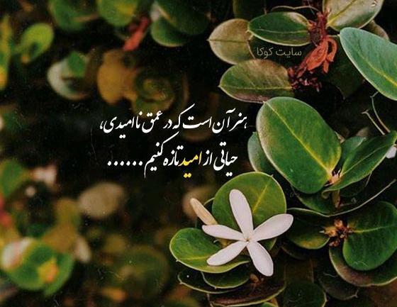عکس امید داشتن به زندگی