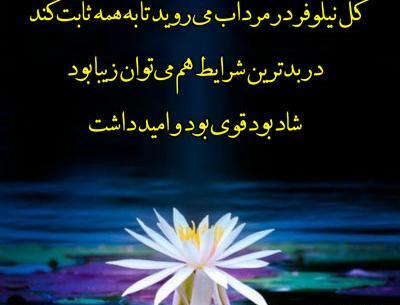 عکس از امید داشتن