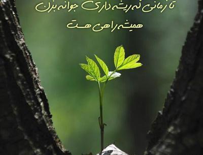 عکس امید دهنده برای پروفایل