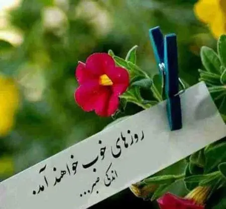 عکس های امید دهنده