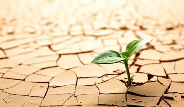 عکس درباره امید به زندگی