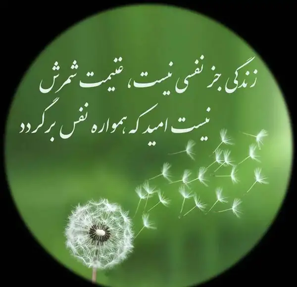 عکس امیدواری خدا