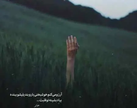 عکس امید جهان و ماهک