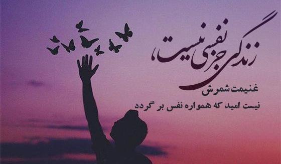 عکس صفحه شعر امید کلاس چهارم