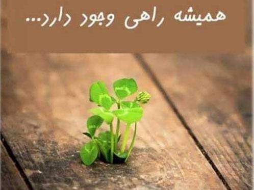 عکس پروفایل امید و آرزو