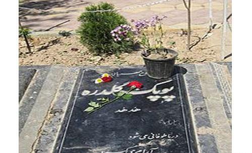 عکس همسر امیر غفارمنش