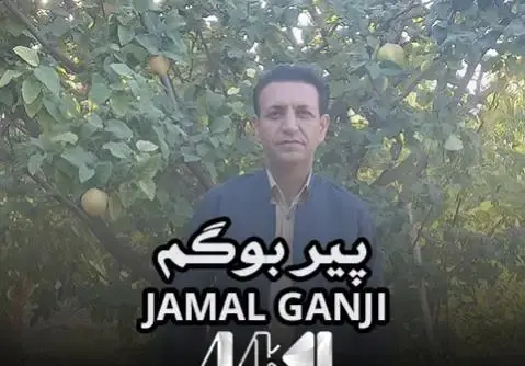 عکس خواننده امیر گنجی