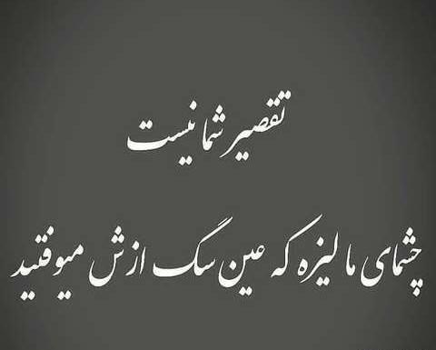 عکس خواننده امیر اصلانی