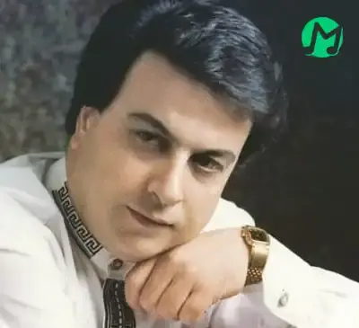 عکس خواننده امیر شاملو