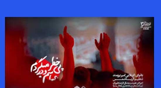 عکس با کیفیت امیر برومند