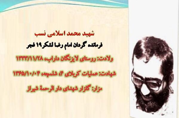 عکس فاطمه زهرا محمدی