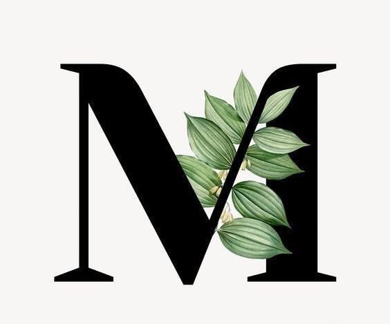 عکس اسم امیر محمد به انگلیسی