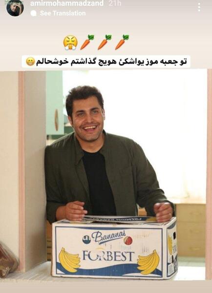 عکس امیر محمد زند