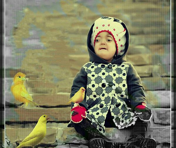 عکس پدر و مادر فاطمه غرار