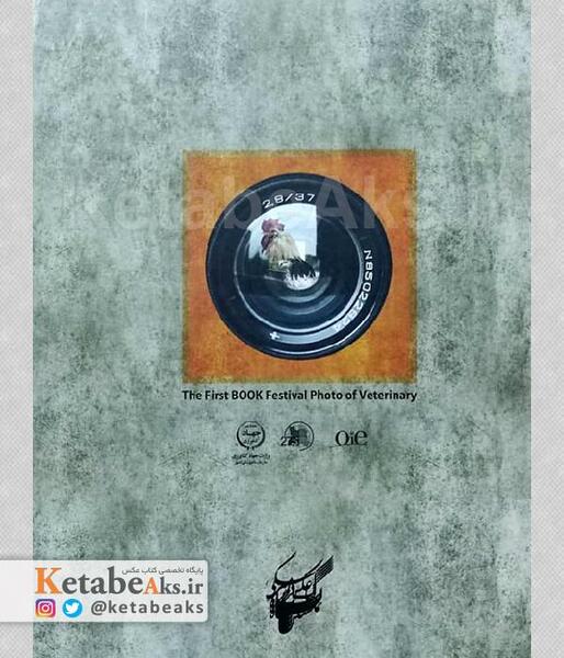 عکس فاطمه خادمیان