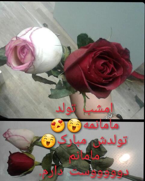 عکس مامان جون فاطمه