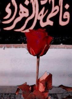 عکس یا فاطمه الزهرا شاد