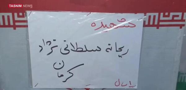 عکس شهید مریم سلطانی نژاد