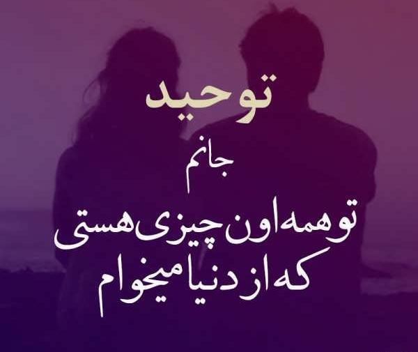 عکس نوشته تولد اسم هستی
