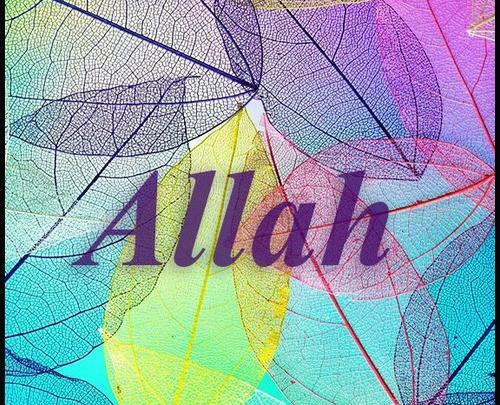 عکس نوشته اسم هستی به انگلیسی