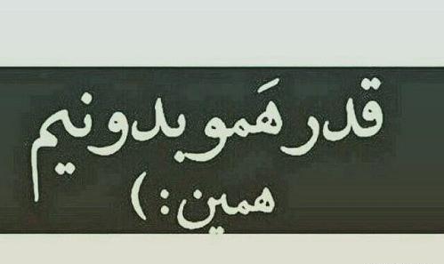 عکس نوشته تا هستیم قدر همو بدونیم