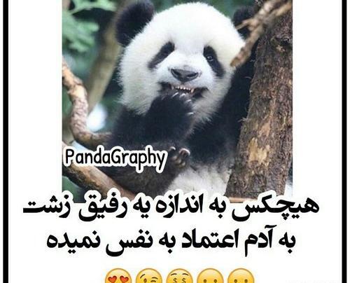 عکس نوشته های اعتماد به نفس بالا