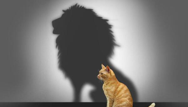عکس نوشته در مورد اعتماد به نفس کاذب
