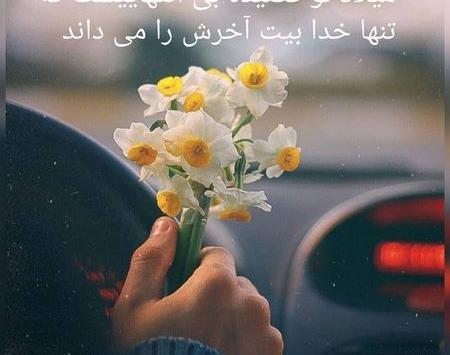 عکس نوشته تبریک تولد حضرت مهدی