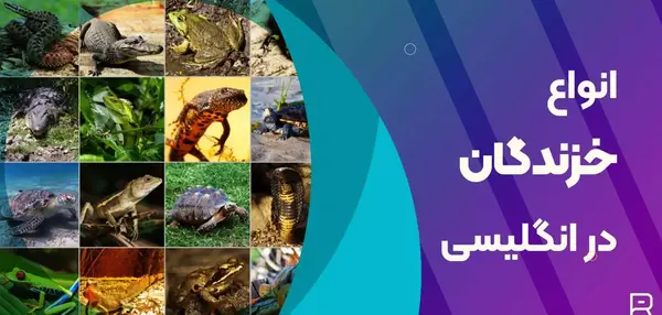 کبری به انگلیسی عکس نوشته
