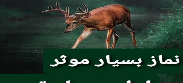 عکس نوشته نماز اول ماه قمری
